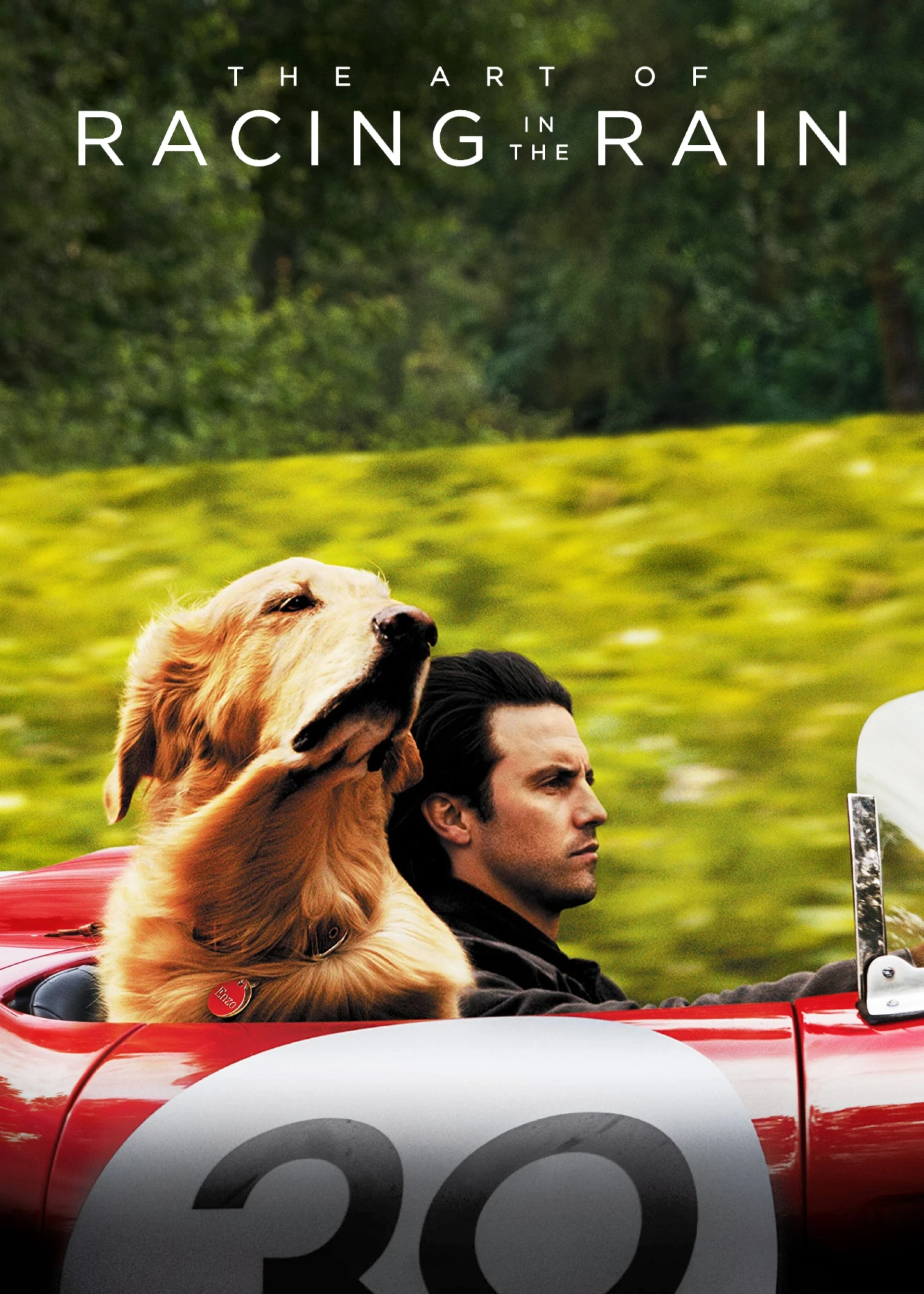 Cuộc Đời Phi Thường Của Chú Chó Enzo The Art of Racing in the Rain