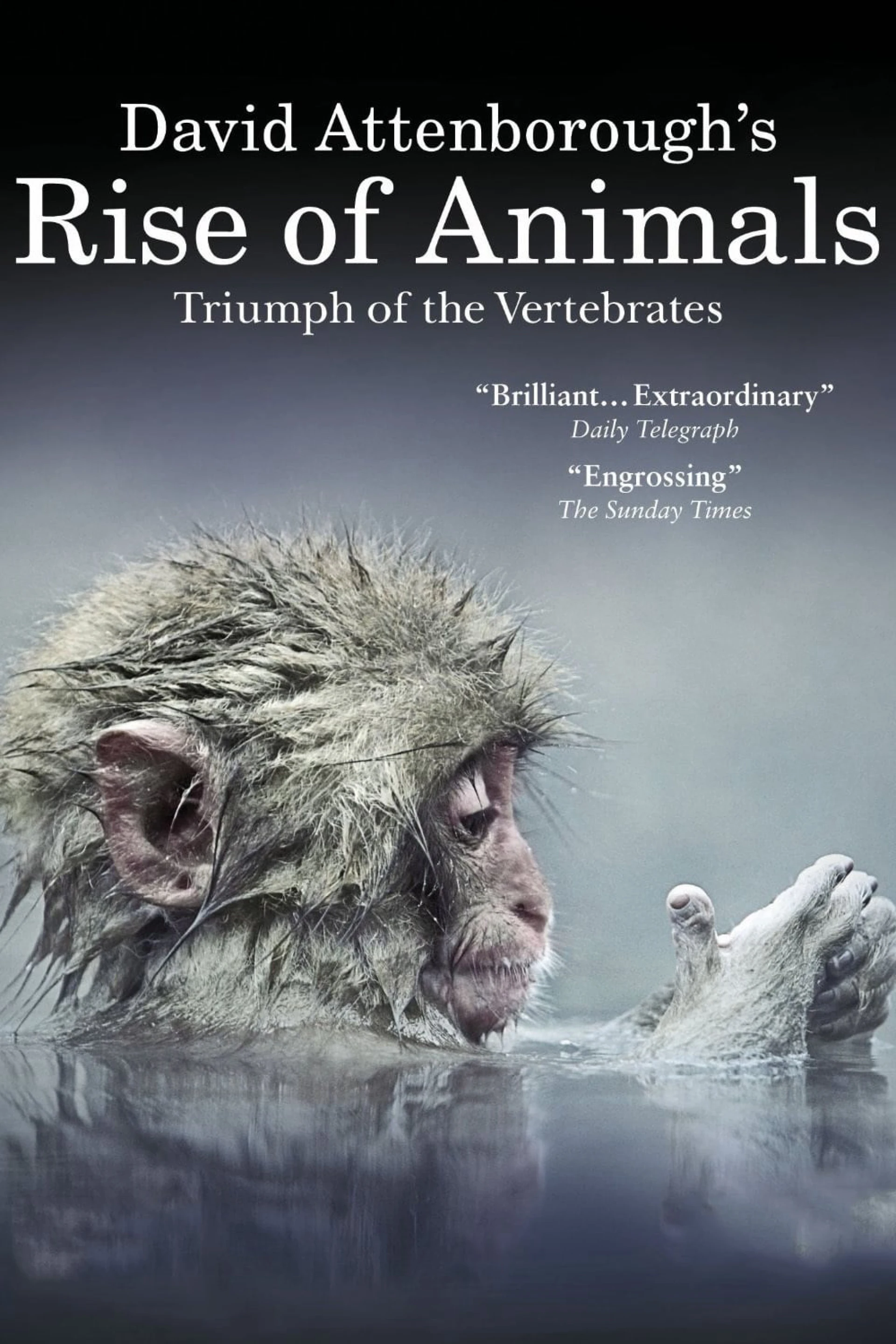 David Attenborough's Rise of Animals: Triumph of the Vertebrates David Attenborough's Rise of Animals: Triumph of the Vertebrates