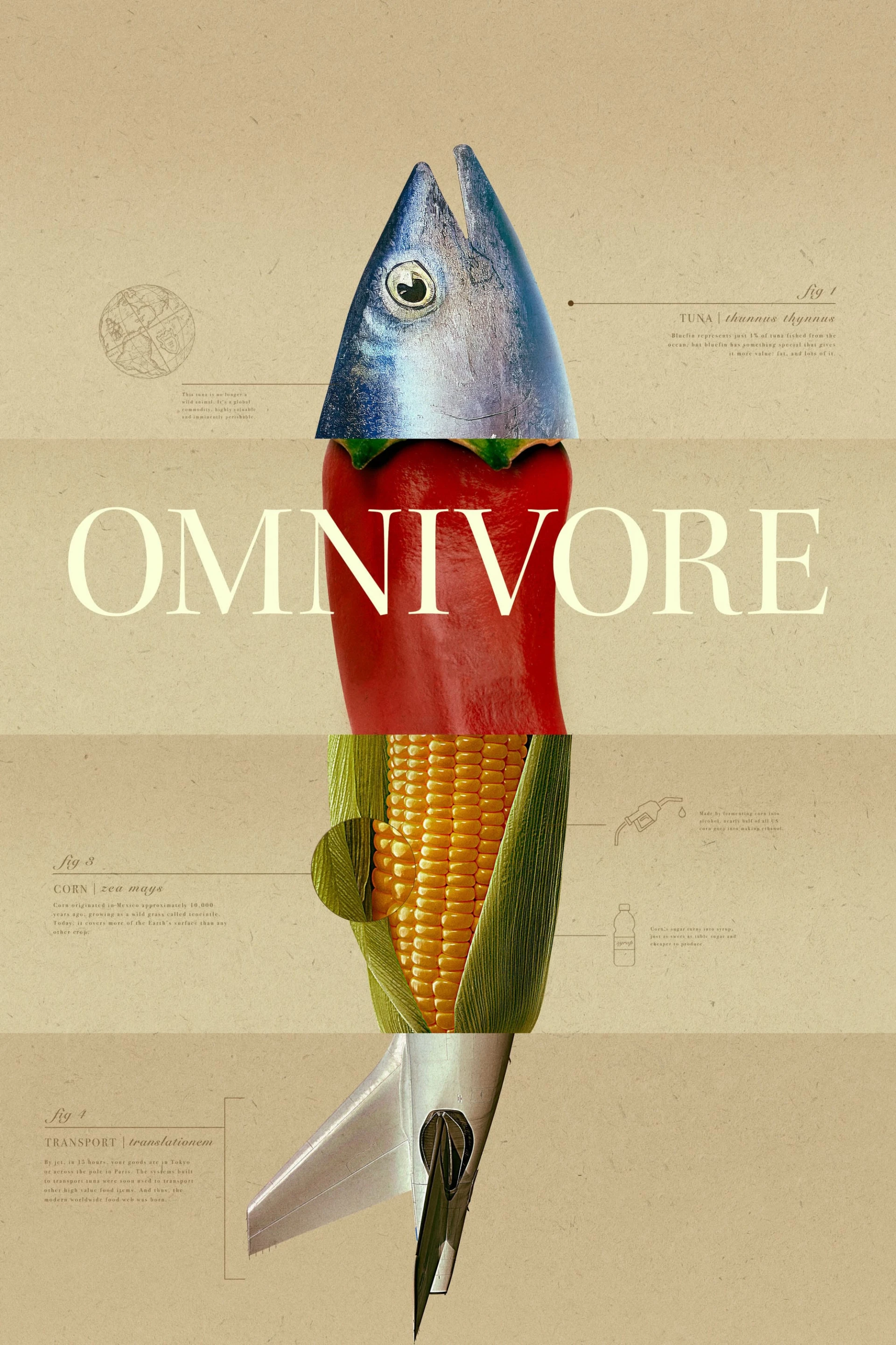 Động Vật Ăn Tạp - Omnivore Omnivore
