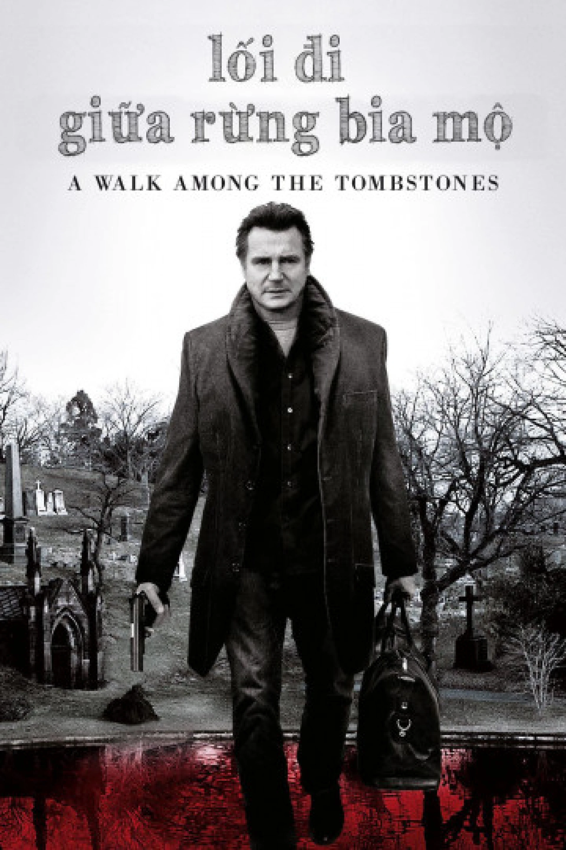 Lối Đi Giữa Rừng Bia Mộ A Walk Among the Tombstones