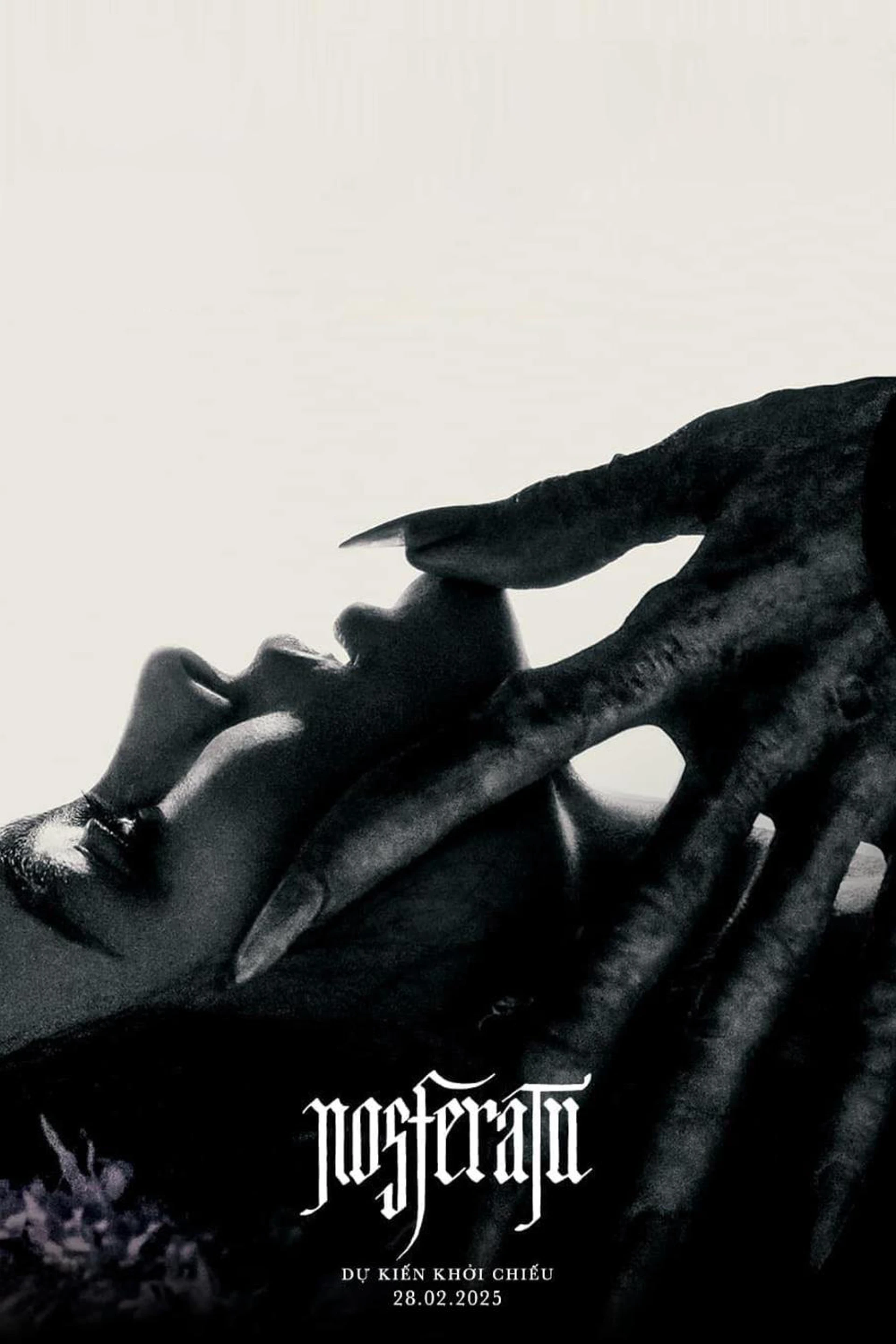 Ma Cà Rồng Nosferatu Nosferatu