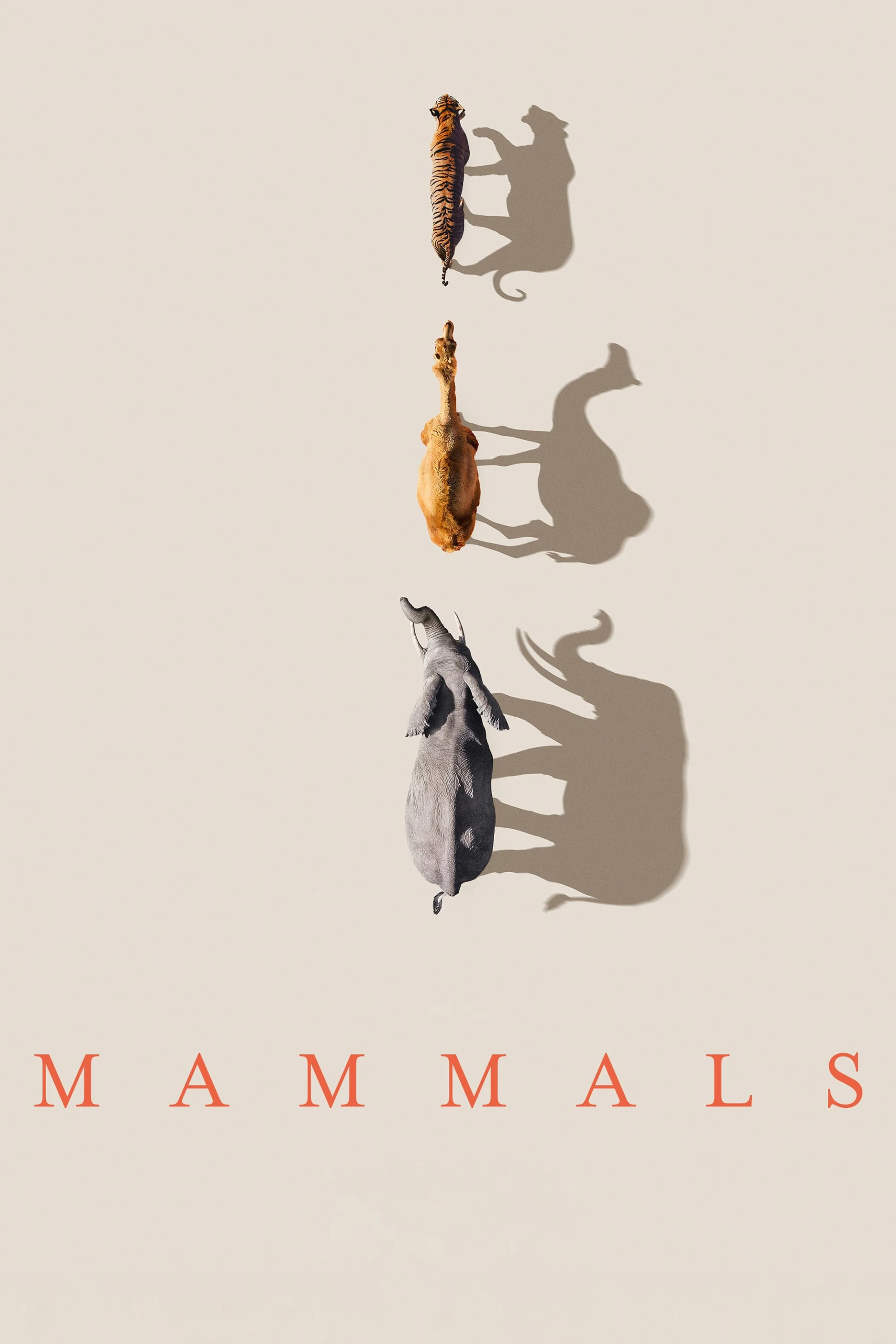 Mammals (2024) Mammals