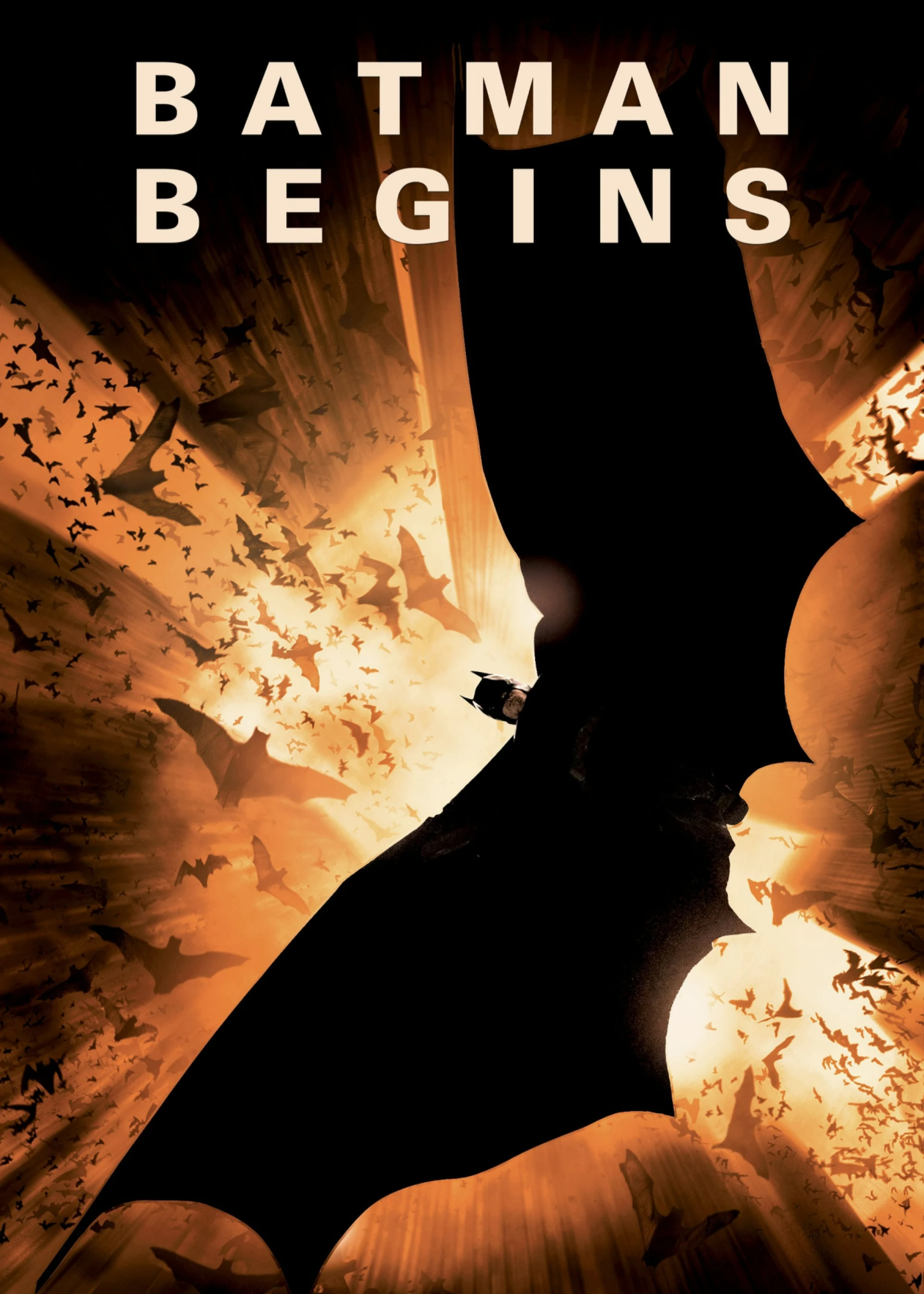 Người Dơi Xuất Hiện Batman Begins
